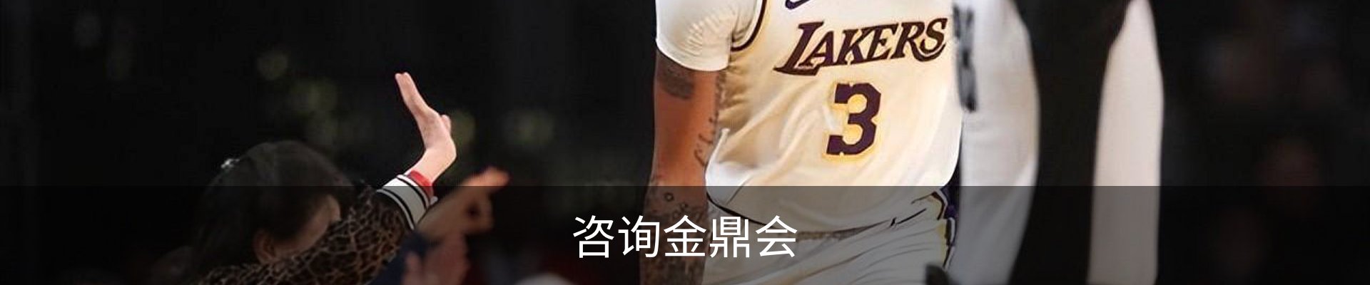 咨询金鼎会